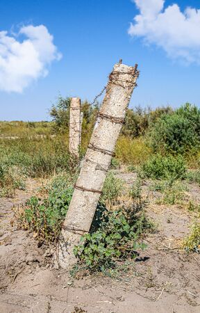 Rusty barbed wire on a concrete pole in natureの写真素材