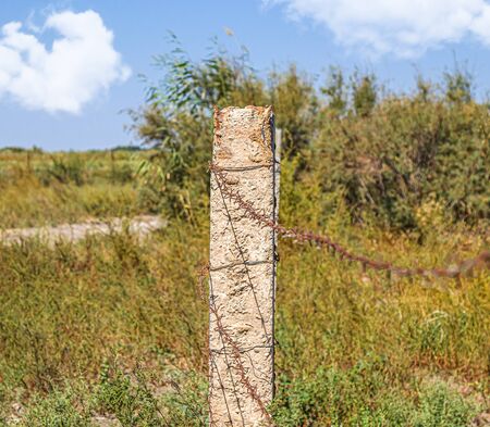 Rusty barbed wire on a concrete pole in natureの写真素材