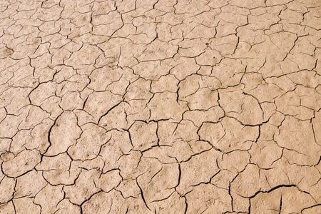 Dry salty soil close-up as a background for designの写真素材