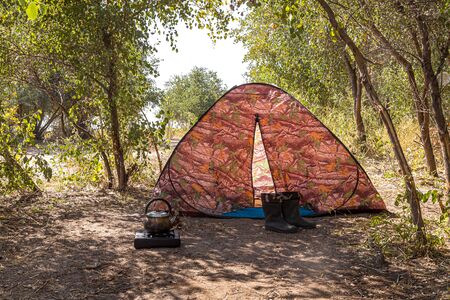 Tourist tent under the trees in natureの写真素材