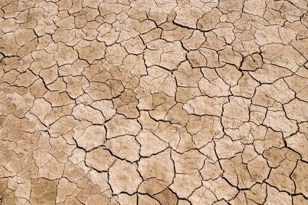 Dry salty soil close-up as a background for designの写真素材
