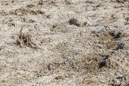 Dry cracked salty earth as backgroundの写真素材