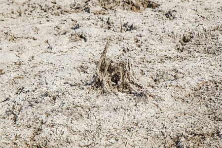 Dry cracked salty earth as backgroundの写真素材