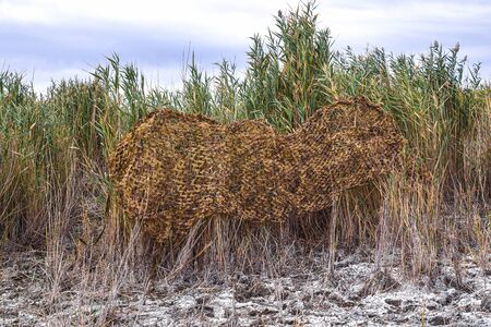 Reed camouflage net in nature