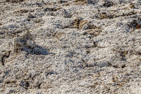 Dry cracked salty earth as backgroundの写真素材