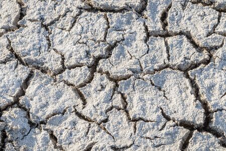 Dry cracked salty earth as backgroundの写真素材