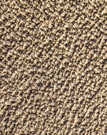 Wall plastered with cement mortar coat as a background for designの写真素材