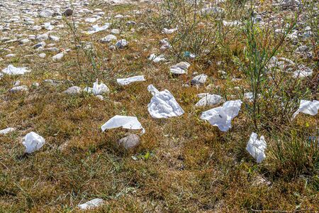 Sanitary napkins trash in nature on earthの写真素材