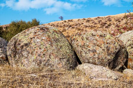 Stone covered with dry moss and lichen close-upの写真素材