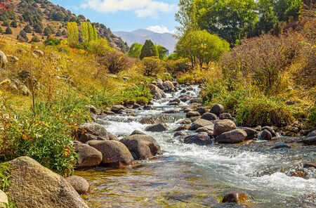 Stones in a mountain river. landscape. selective focusの写真素材