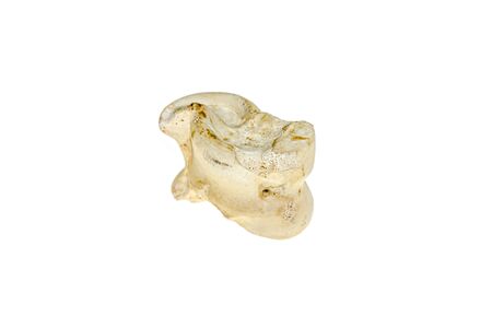 Old bone of an animal joint on a white background. Asyka bone gameの写真素材