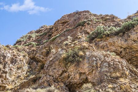 Rocks and vegetation on rocky stones in Kazakhstanの写真素材