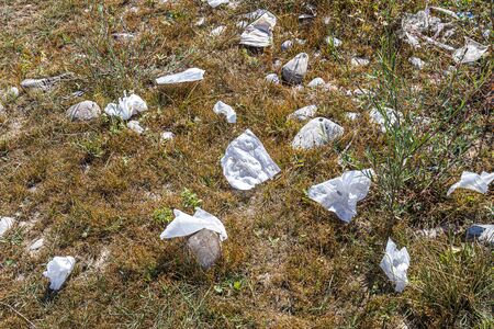 Sanitary napkins trash in nature on earthの写真素材
