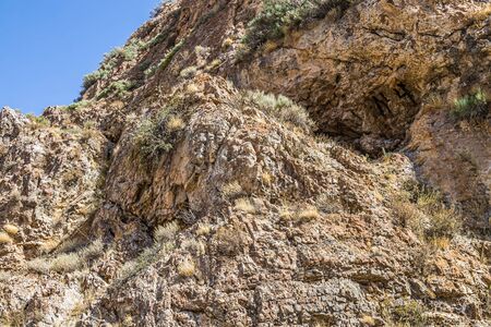 Rocks and vegetation on rocky stones in Kazakhstanの写真素材