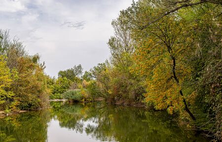 Autumn trees by the lake above the water. Selective focus.の写真素材