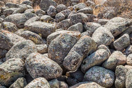 Rocks and vegetation on rocky stones in Kazakhstanの写真素材