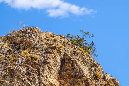 Rocks and vegetation on rocky stones in Kazakhstanの写真素材