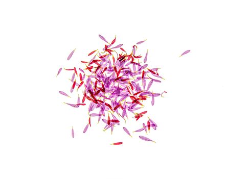Chrysanthemum flower petals on a white backgroundの写真素材