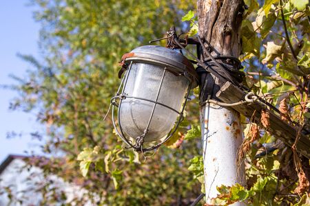 old street lamp among plantsの写真素材
