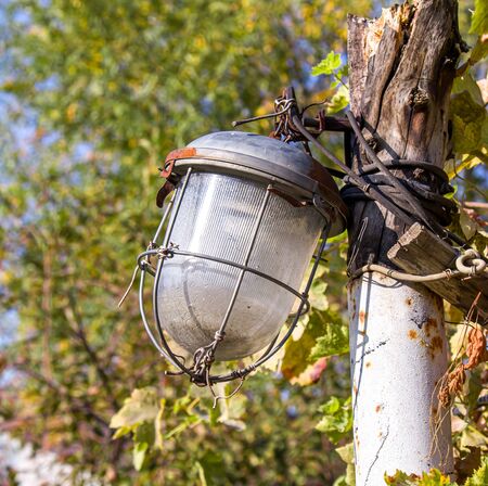 old street lamp among plantsの写真素材