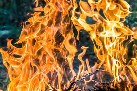 Bonfire fire close-up as a background. blur.の写真素材