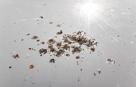 Bird droppings on the hood of a car.の写真素材