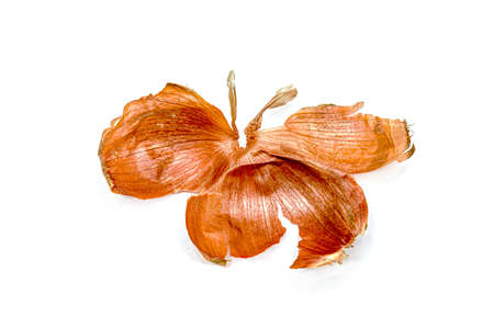 Onion husk close-up on a white background.の写真素材