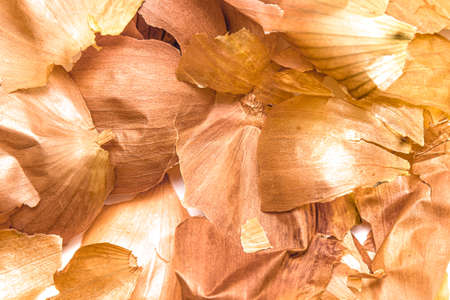 Onion husk close-up on a white background.の写真素材