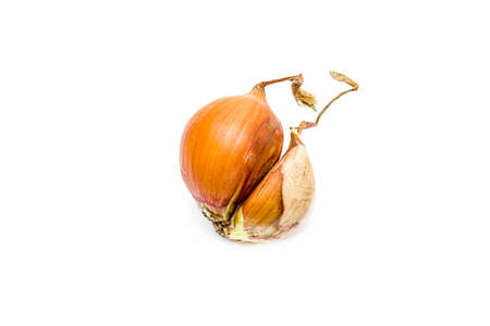 Onion close-up on a white background.の写真素材