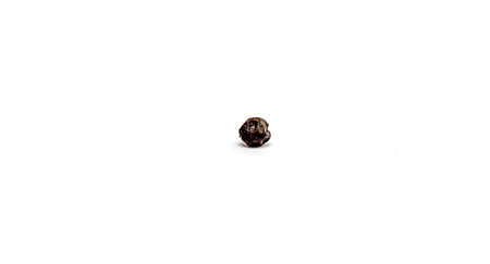 Peas of black allspice close-up on a white background.の写真素材