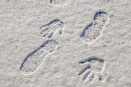 Footprints in white fresh snow.