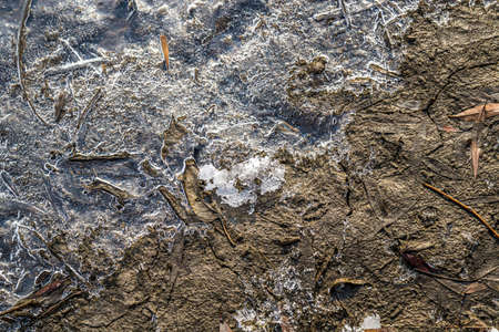 Ice crust close-up on the edge of the lake in winterの写真素材
