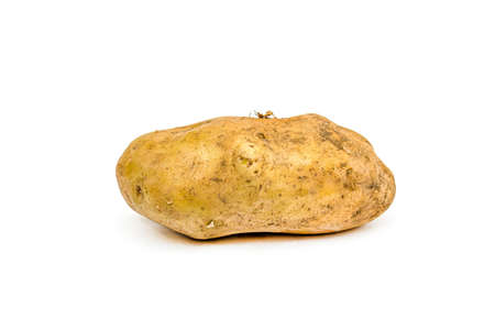 Potato tubers close-up on a white background.の写真素材