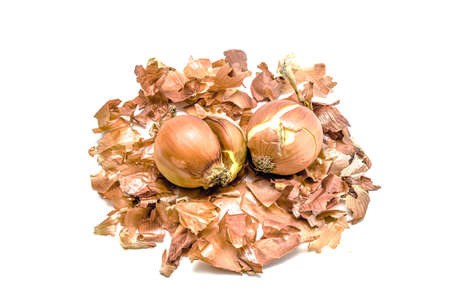 Onion close-up on a white background.の写真素材