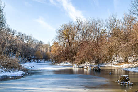 Trees on the shore of a frozen lake in a city park. Landscape.の写真素材