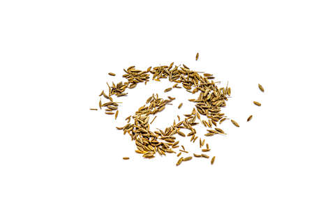 Zira cumin seeds on a white background.の写真素材