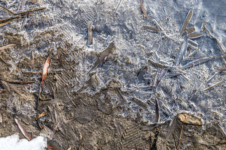 Ice crust close-up on the edge of the lake in winterの写真素材