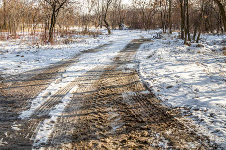 Melting snow on a country road in the forestの写真素材