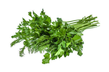 Fresh bunch of parsley and dill on white backgroundの写真素材