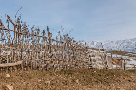 Fence from dry branches in Kazakhstanの写真素材