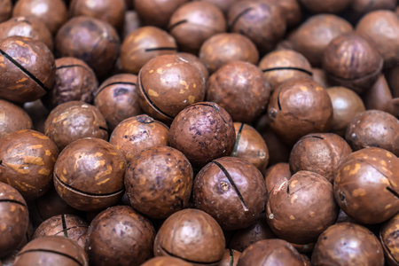 macadamia nuts as a backgroundの写真素材