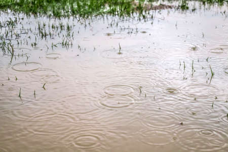 Dirty puddle with water in rainy weather.の写真素材