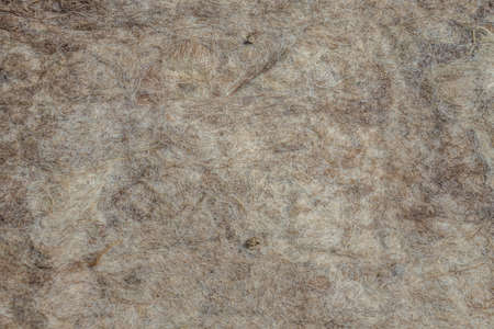 Gray lambswool carpet as a background. Material for covering an Asian yurt dwelling.の写真素材