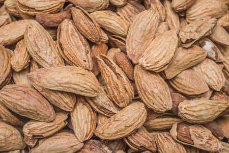 Dry almonds in shellの写真素材