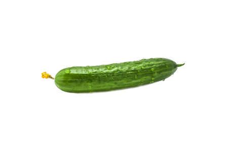 Greenhouse grown cucumber with water drops isolated on white background, clipping path.の写真素材