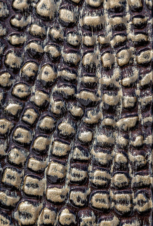 Forged and painted metal gate elements close-up as a background.