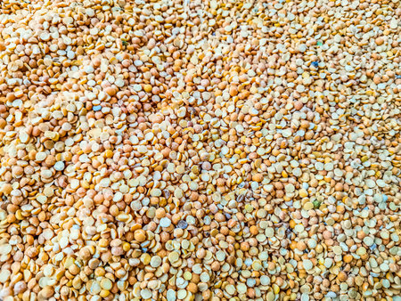Yellow dry peas close-up as a backgroundの写真素材