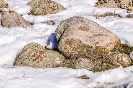 mountain stones. Boulders in the snow in nature. closeup.の写真素材