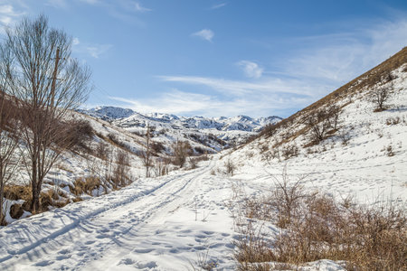 Hills in the foothills in winter in the snow.の写真素材