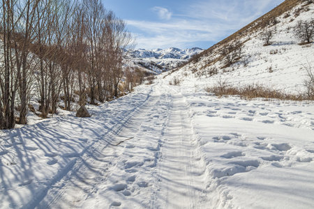 Hills in the foothills in winter in the snow.の写真素材